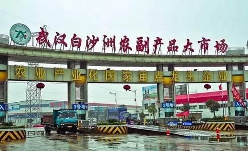 武汉商贸公司前沿资讯:动态与发展